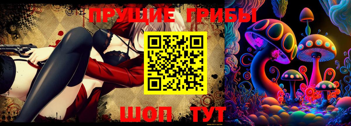 Псилоцибиновые грибы Psilocybe  Вход с VPN  Качканар 